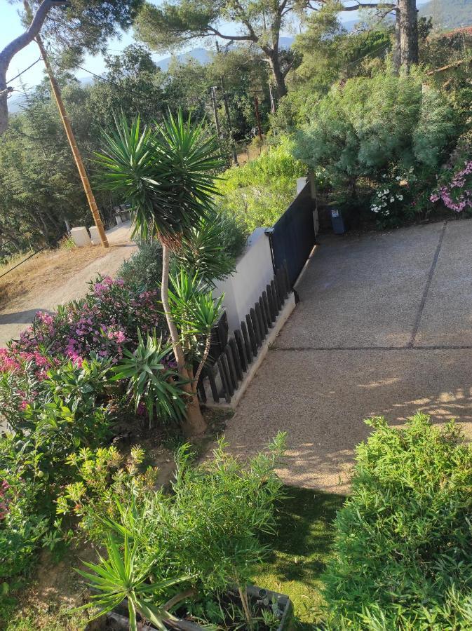 Studio Villa Le M Six-Fours-les-Plages Luaran gambar