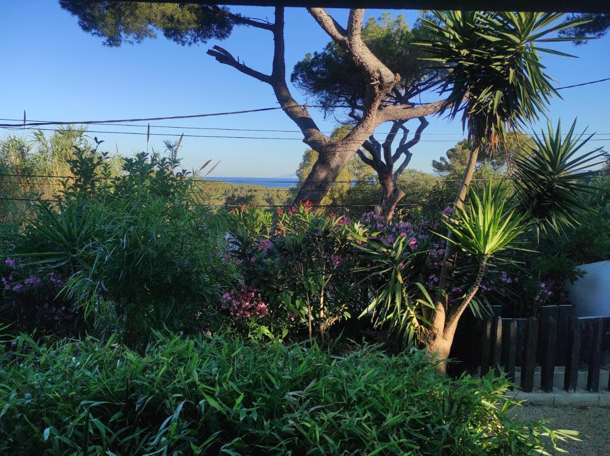 Studio Villa Le M Six-Fours-les-Plages Luaran gambar
